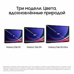 Планшет 11″ Samsung Galaxy Tab S9 128Gb, графитовый (РСТ)— фото №2